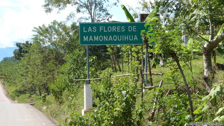 mamonaquihua 001